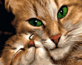 Картина по номерам Paintboy GX 22852 Кошачьи ласки 40x50 см