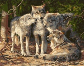 Картина по номерам Paintboy GX 31834 Волчицы 40x50 см