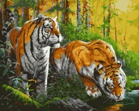 Картина по номерам Paintboy GX 25502 Тигры у воды 40x50 см