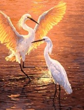 Картина по номерам Paintboy GX 8524 Журавли 40x50 см