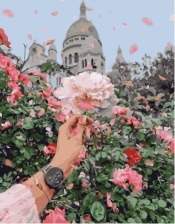 Картина по номерам Paintboy PK 51071 Благоухание роз 40x50 см
