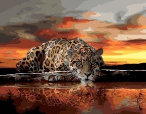 Картина по номерам Paintboy GX 27069 Леопард у воды 40x50 см