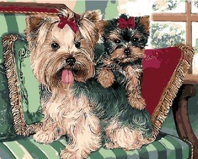 Картина по номерам Paintboy GX 8907 Йоркширские терьеры 40x50 см