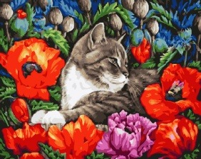 Картина по номерам Paintboy GX 30665 Кот среди маков 40x50 см