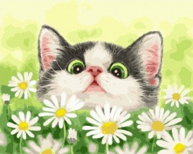 Картина по номерам Paintboy PK 55021 Котенок в ромашках 40х50 см