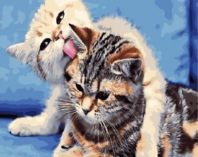Картина по номерам Paintboy GX 31132 Чистюля и грязнуля 40x50 см