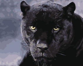 Картина по номерам Paintboy GX 32430 Взгляд черной пантеры 40x50 см