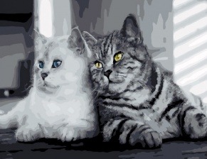 Картина по номерам Paintboy GX 25598 Кот и кошка 40x50 см