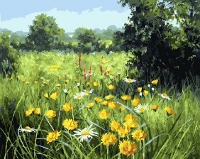 Картина по номерам Paintboy GX 5742 Одуванчики на лугу 40x50 см