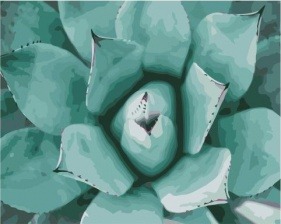 Картина по номерам Paintboy GX 36045 Суккулент 40х50 см
