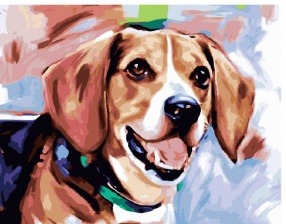 Картина по номерам Paintboy PK 30013 Поиграем? 40x50 см