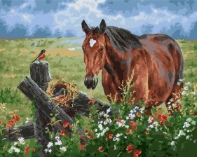Картина по номерам Paintboy GX 25107 Лошадь на лугу 40x50 см
