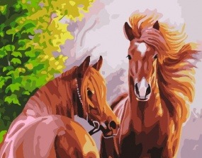 Картина по номерам Paintboy GX 7276 (GX 37029) Две лошади (Самарская Елена) 40х50 см