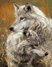 Картина по номерам Paintboy GX 8873 Волчья пара 40x50 см
