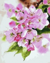 Картина по номерам Paintboy PK 26001 (GX 28431) Цветение 40x50 см