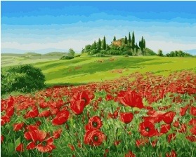 Картина по номерам Paintboy GX 8856 Поле маков 40x50 см