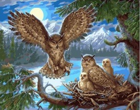 Картина по номерам Paintboy GX 31979 Совиное гнездо 40x50 см