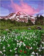 Картина по номерам Paintboy GX 29236 Весна на алипийских лугах 40x50 см