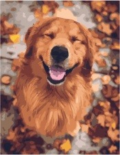Картина по номерам Paintboy PK 48008 Улыбчивый пес 40x50 см