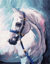 Картина по номерам Paintboy PK 38005 Белая лошадь с уздечкой 40x50 см