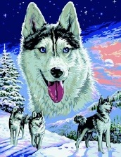 Картина по номерам Paintboy GX 6780 Хаски 40x50 см