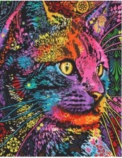 Картина по номерам Paintboy GX 30354 Разноцветный кот 40x50 см