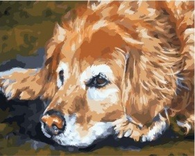 Картина по номерам Paintboy PK 59097 Грустный пёс 40х50 см
