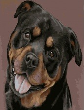 Картина по номерам Paintboy GX 34533 Счастливый пес 40x50 см