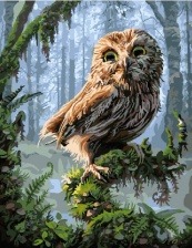 Картина по номерам Paintboy GX 8346 Сова 40x50 см