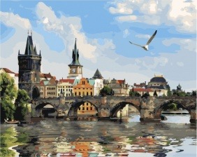 Картина по номерам Paintboy GX 33779 Чайка над рекой 40x50 см