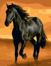 Картина по номерам Paintboy GX 32937 Черный конь 40x50 см