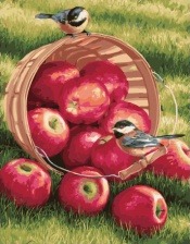 Картина по номерам Paintboy GX 32292 Яблоки и птицы 40х50 см