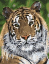 Картина по номерам Paintboy GX 31030 Гордый взгляд тигра 40x50 см