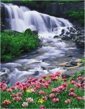 Картина по номерам Paintboy GX 34324 Пенистый водопад 40x50 см
