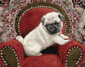 Картина по номерам Paintboy GX 32518 Щенок в кресле 40x50 см