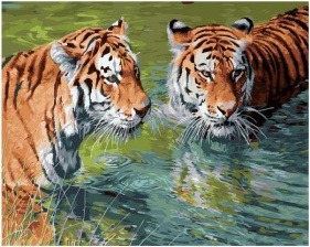 Картина по номерам Paintboy GX 30012 Два тигра в воде наблюдают 40х50 см