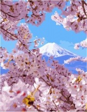 Картина по номерам Paintboy PK 48020 Горная весна 40x50 см