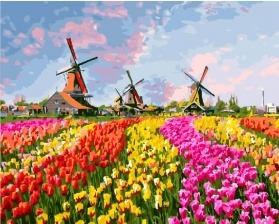 Картина по номерам Paintboy GX 27201 Поле цветов 40x50 см