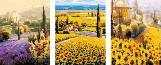 Картина по номерам ТРИПТИХ Paintboy PX 5260 Цветочные поля 3 шт. 40x50 см