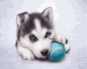 Картина по номерам Paintboy GX 33760 Щенок хаски с мячиком 40x50 см