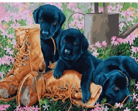 Картина по номерам Paintboy GX 29300 Забавная находка 40x50 см