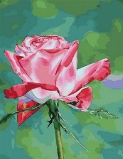 Картина по номерам Paintboy PK 33013 Цветение розы 40x50 см