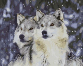 Картина по номерам Paintboy PK 39004 Пристальные взгляды 40х50 см