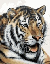 Картина по номерам Paintboy GX 27474 Тигриная жажда 40x50 см