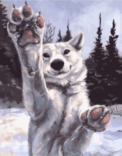 Картина по номерам Paintboy PK 38044 Дружелюбие 40x50 см