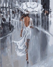 Картина по номерам Paintboy GX 27579 Танцующая в ночи 40x50 см