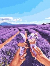 Картина по номерам Paintboy PK 19039 (GX 26986) Лавандовый Прованс 40x50 см