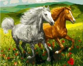 Картина по номерам Paintboy GX 34198 Бегуны на маковом поле 40x50 см