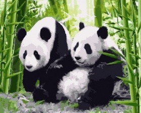 Картина по номерам Paintboy GX 6037 Бaмбукoвыe мишки 40x50 см