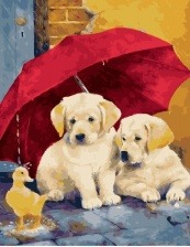 Картина по номерам Paintboy GX 28450 Щенки под зонтом 40х50 см